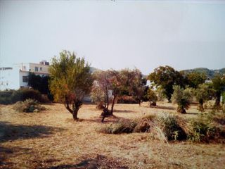 Οικόπεδο 3.500 τ.μ. για πώληση