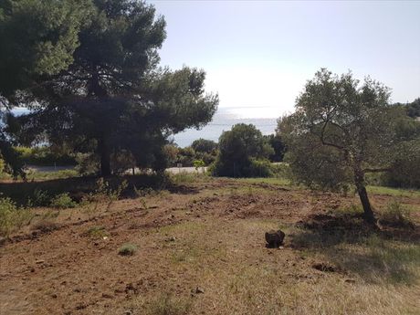 Land plot 6.500sqm for sale-Ormilia » Vatopedi