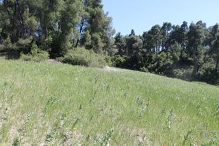 Οικόπεδο 20.100 τ.μ. πρός πώληση, Χαλκιδική, Κασσάνδρα-thumb-3