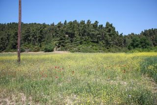 Οικόπεδο 18.000 τ.μ. προς πώληση