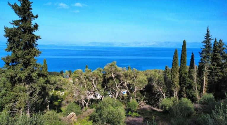 Land plot 7.000 sqm for sale, Corfu Prefecture, Corfu