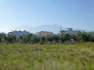 Οικόπεδο 1.000 τ.μ. προς πώληση, Πλαταμώνας Βεργίνας-thumb-1