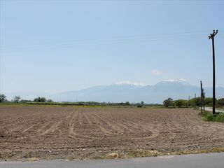 Οικόπεδο 12.000 τ.μ. για πώληση