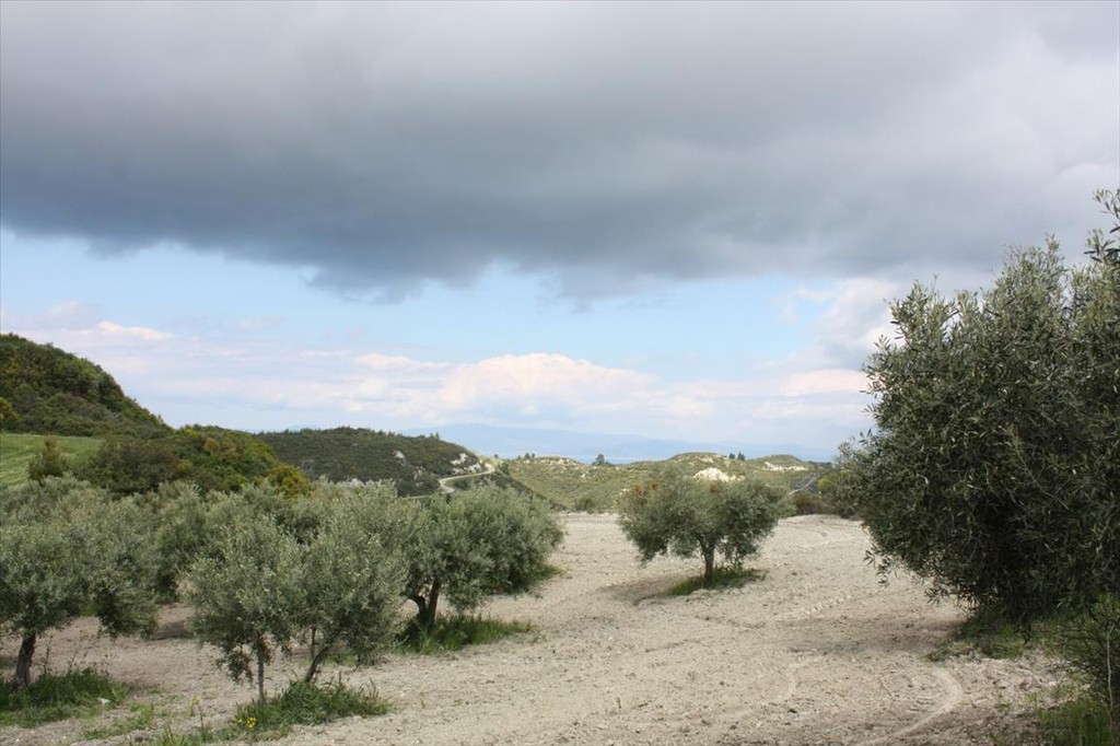 Οικόπεδο 4.000 τ.μ. προς πώληση, Νέα Σκιώνη