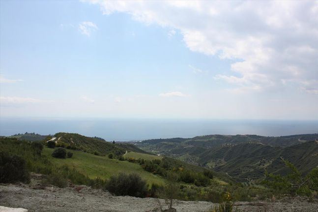 Land plot 4.000 sqm for sale, Chalkidiki, Pallini