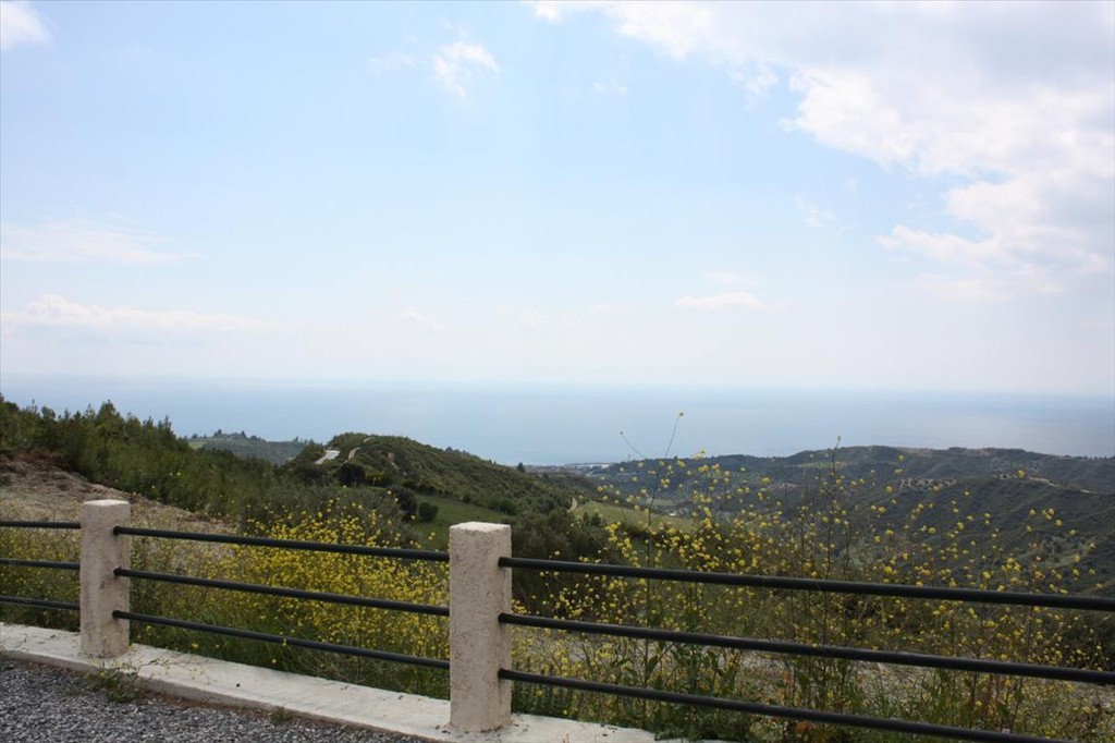 Οικόπεδο 4.000 τ.μ. προς πώληση, Νέα Σκιώνη