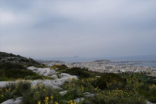 Οικόπεδο 45.000 τ.μ. για πώληση, Ν. Ρεθύμνου, Ρέθυμνο-thumb-14