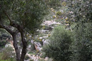 Οικόπεδο 45.000 τ.μ. για πώληση, Ν. Ρεθύμνου, Ρέθυμνο-thumb-3