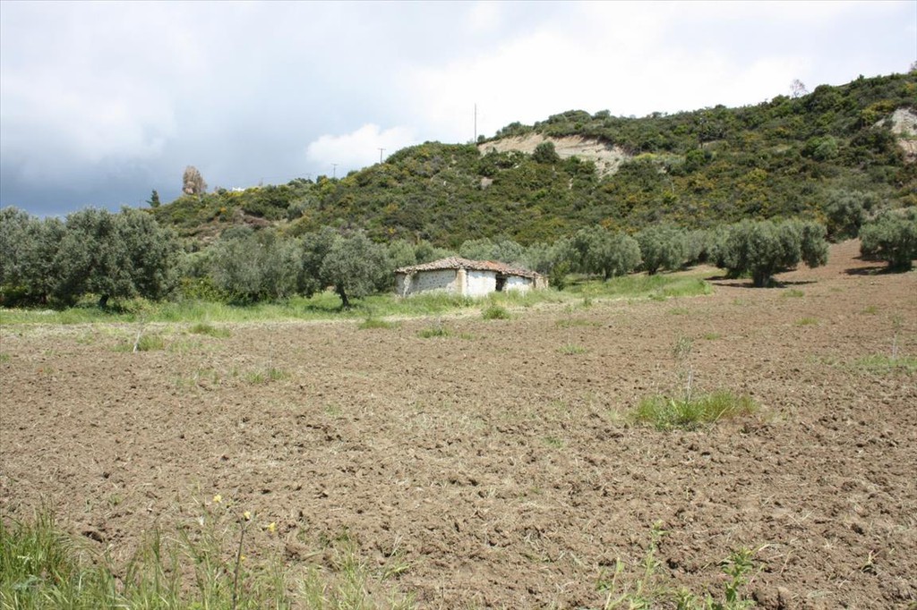 Οικόπεδο 4.700 τ.μ. προς πώληση, Νέα Σκιώνη