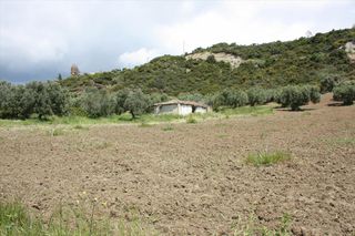 Οικόπεδο 4.700 τ.μ. προς πώληση