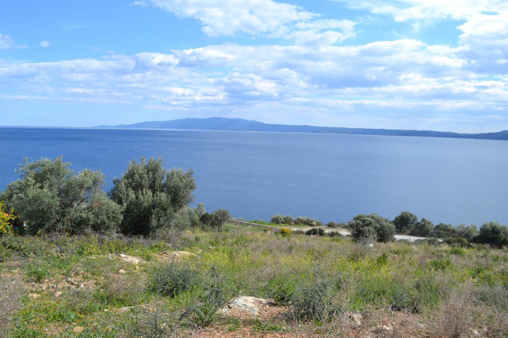 Οικόπεδο 15.000 τ.μ. προς πώληση, Πυργαδίκια