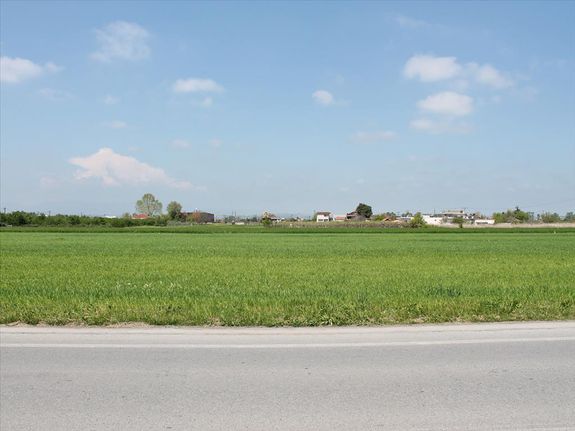 Land plot 4.500 sqm for sale, Pieria Prefecture, Katerini