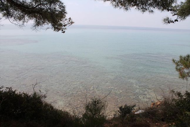 Land plot 4.000 sqm for sale, Chalkidiki, Kallikrateia