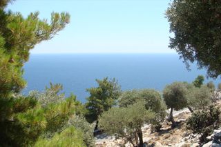 Οικόπεδο 30.000 τ.μ. για πώληση