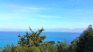 Οικόπεδο 4.010 τ.μ. προς πώληση, Θινάλιο-thumb-5