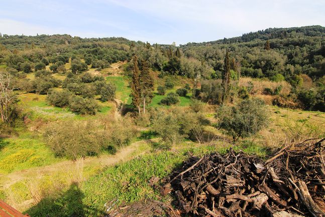 Land plot 8.500 sqm for sale, Corfu Prefecture, Corfu