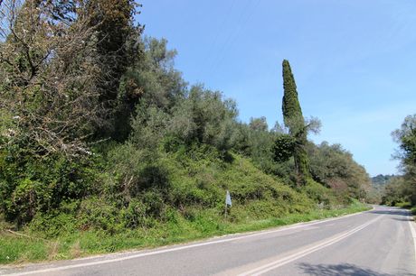 Οικόπεδο 4.400τ.μ. για πώληση-Κέρκυρα » Κασσιόπη