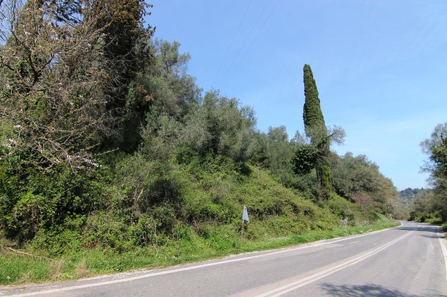 Land plot 4.400 sqm for sale, Corfu Prefecture, Corfu