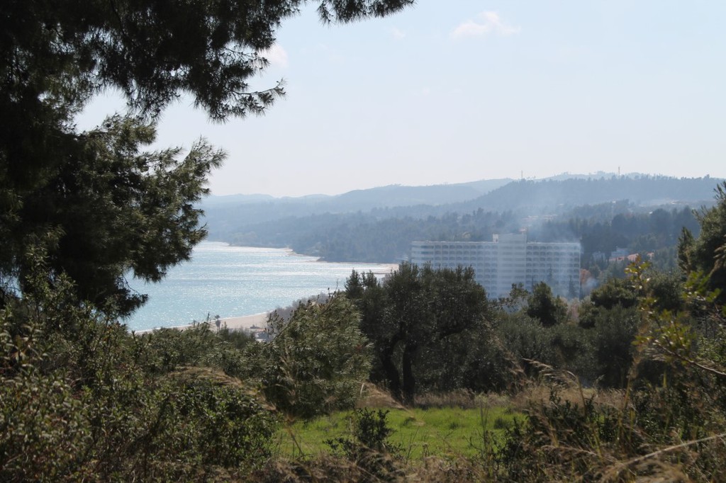 Οικόπεδο 6.400 τ.μ. προς πώληση, Σωλήνα