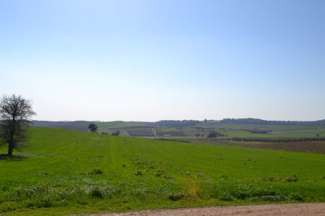 Οικόπεδο 10.500τ.μ. για πώληση-Κασσάνδρα » Φυλακές κασσάνδρας