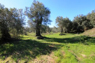 Οικόπεδο 44.000 τ.μ. για πώληση