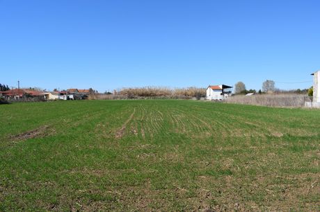 Οικόπεδο 4.008τ.μ. για πώληση-Καλλικράτεια » Νέα ηράκλεια