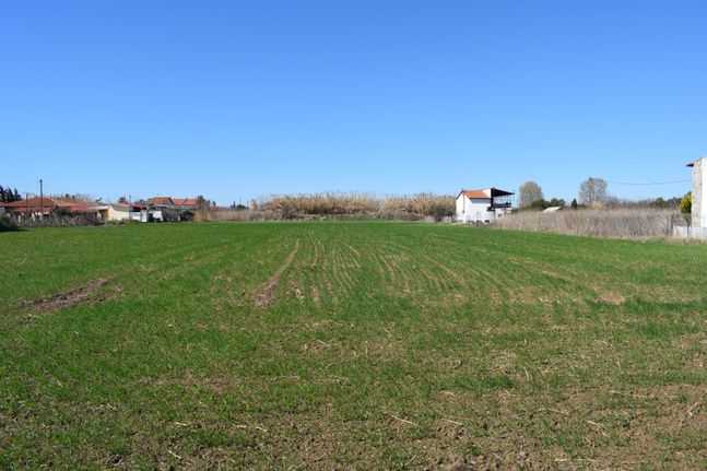 Οικόπεδο 4.008 τ.μ. για πώληση, Χαλκιδική, Καλλικράτεια