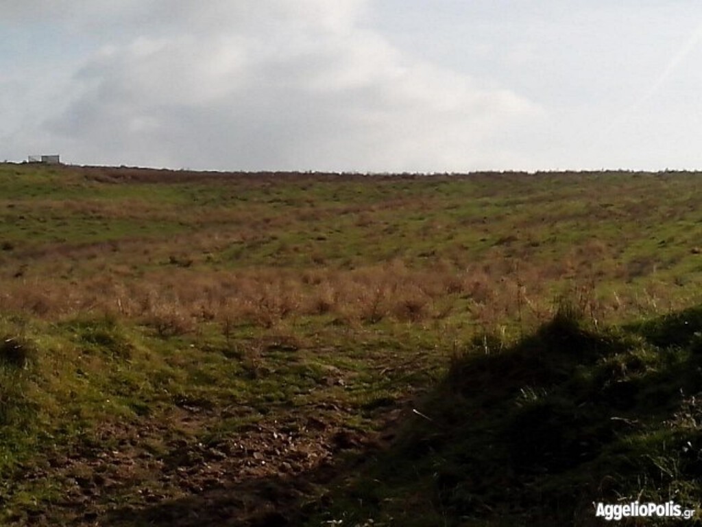 Land plot 6.250 sqm for sale, Agios Athanasios, Sithonia
