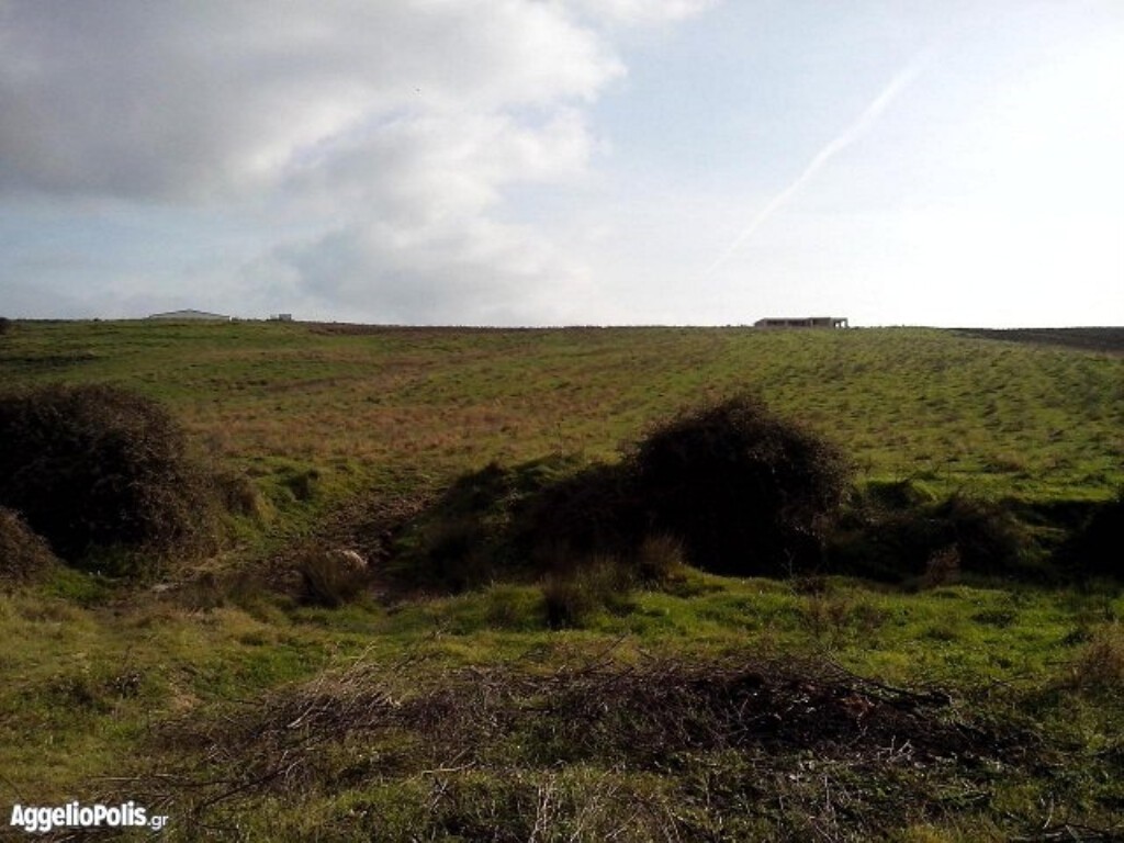 Land plot 6.250 sqm for sale, Agios Athanasios, Sithonia