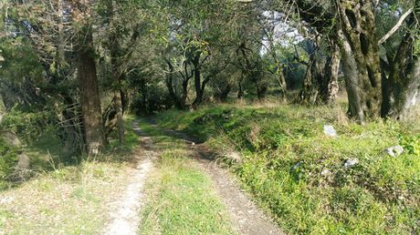 Land plot 3.315sqm for sale-Corfu » Achilleio