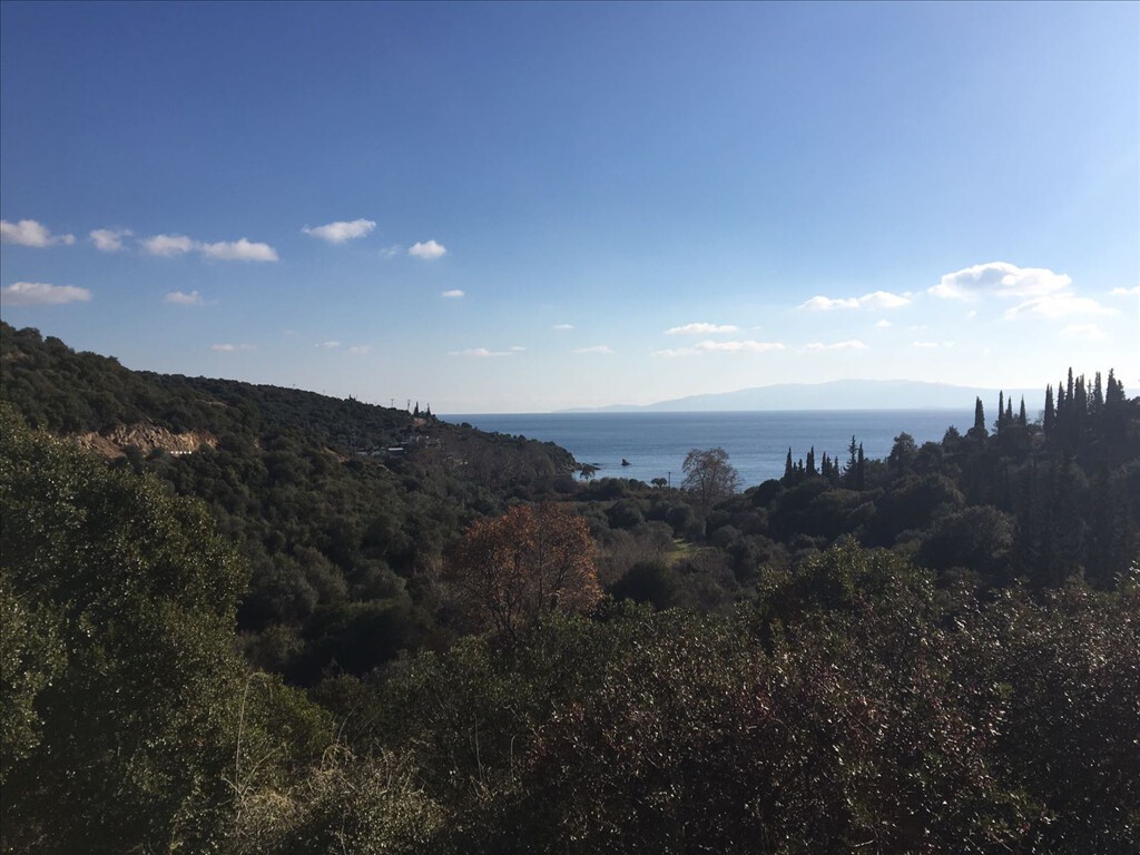 Οικόπεδο 12.415 τ.μ. προς πώληση, Άσσα