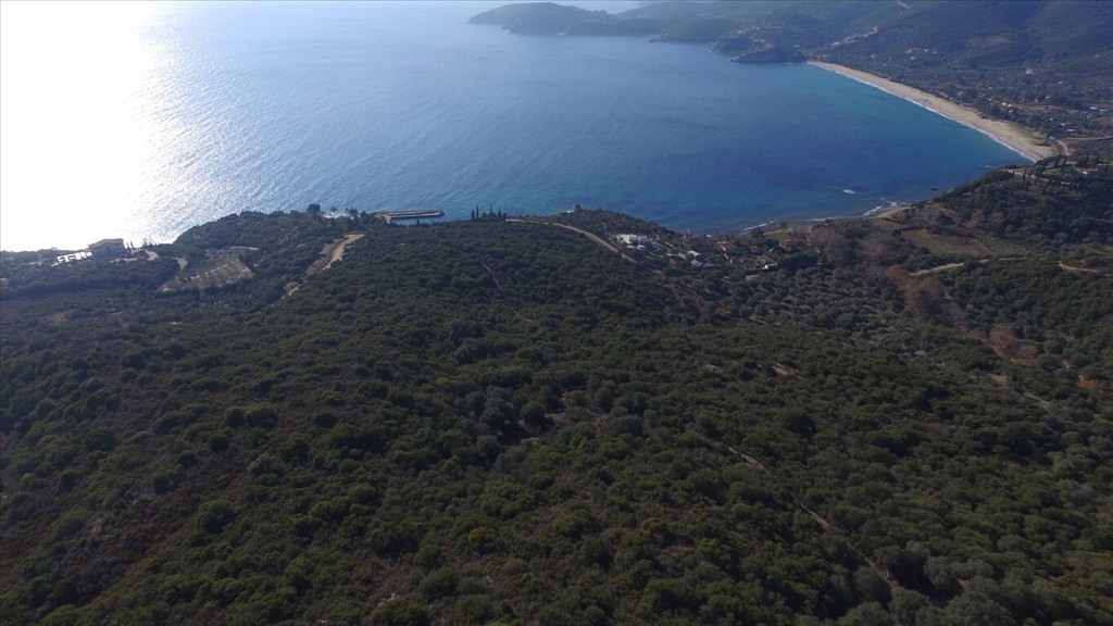 Οικόπεδο 12.415 τ.μ. προς πώληση, Άσσα
