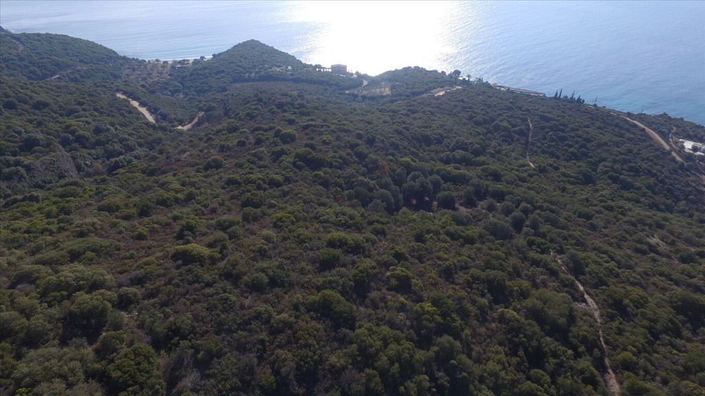 Οικόπεδο 12.415 τ.μ. προς πώληση, Άσσα