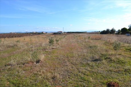Land plot 10.000sqm for sale-Moudania » Varkes