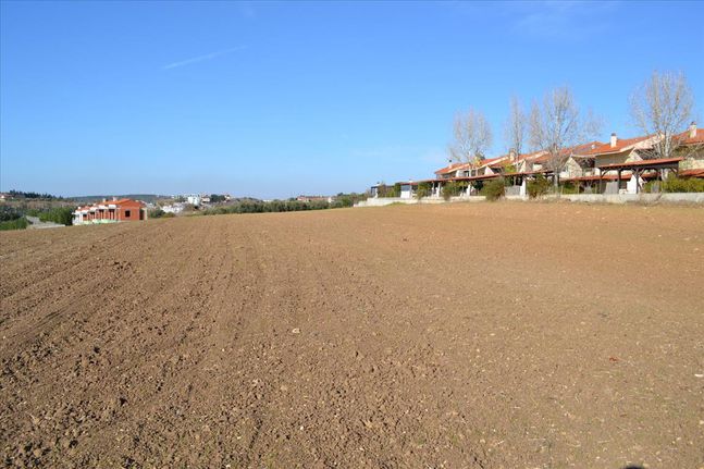 Οικόπεδο 5.000 τ.μ. για πώληση, Χαλκιδική, Μουδανιά