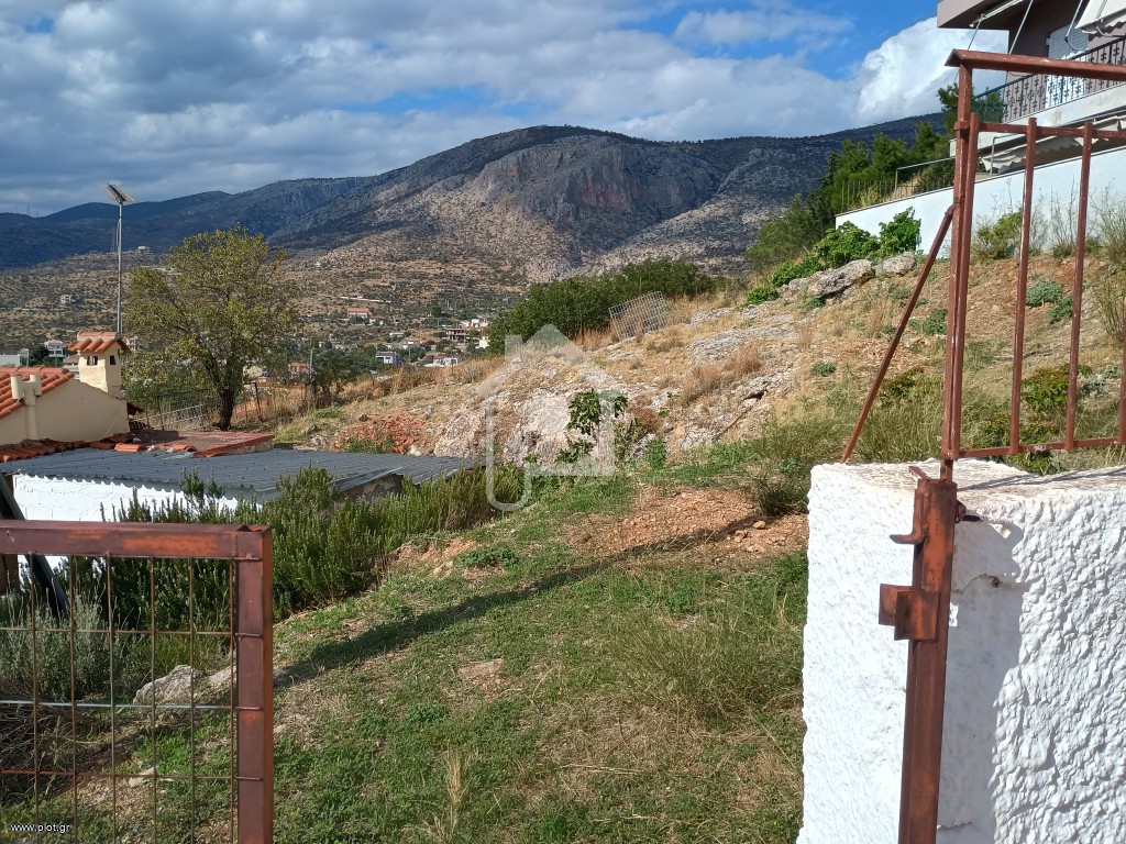 Οικόπεδο 319 τ.μ. πρός πώληση, Αττική - Υπόλοιπο, Φυλή