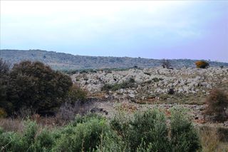 Οικόπεδο 8.500 τ.μ. για πώληση, Ν. Ρεθύμνου, Ρέθυμνο-thumb-5