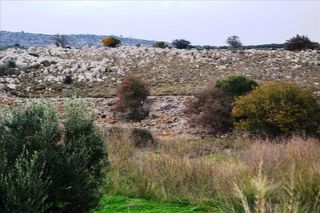 Οικόπεδο 8.500 τ.μ. για πώληση, Ν. Ρεθύμνου, Ρέθυμνο-thumb-4