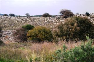 Οικόπεδο 8.500 τ.μ. για πώληση, Ν. Ρεθύμνου, Ρέθυμνο-thumb-3
