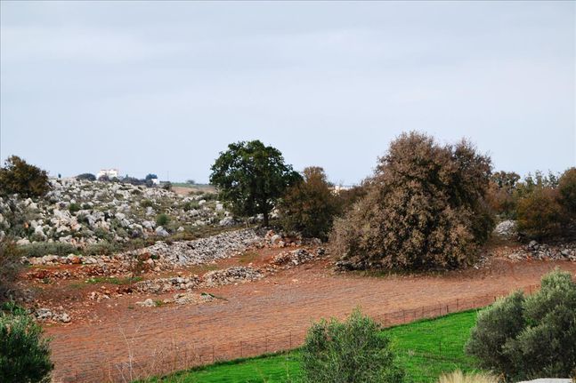 Οικόπεδο 8.500 τ.μ. για πώληση, Ν. Ρεθύμνου, Ρέθυμνο