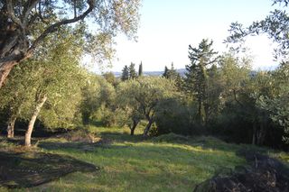 Οικόπεδο 8.253 τ.μ. για πώληση