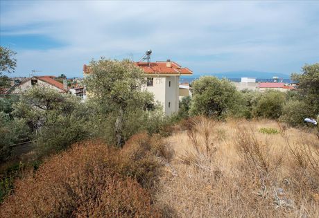 Land plot 1.086sqm for sale-Thasos » Skala Kallirachis