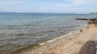 Οικόπεδο 776 τ.μ. προς πώληση, Σκάλα Καλλιράχης-thumb-5