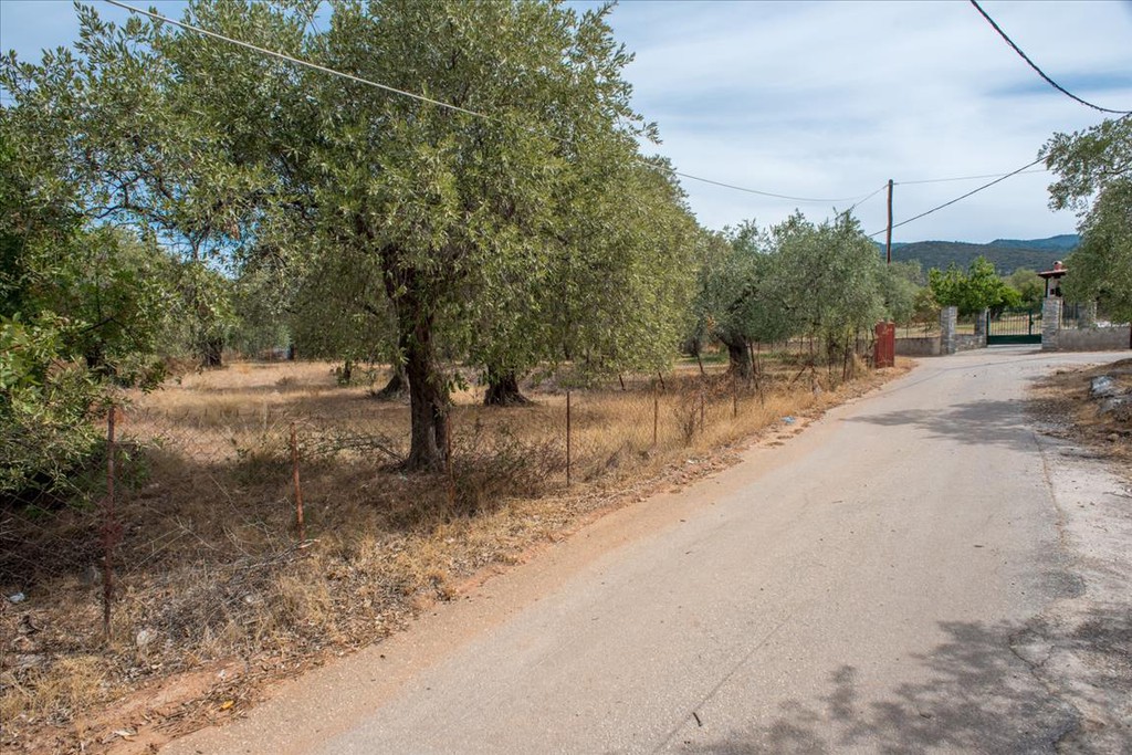 Οικόπεδο 776 τ.μ. προς πώληση, Σκάλα Καλλιράχης
