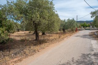 Οικόπεδο 776 τ.μ. προς πώληση, Σκάλα Καλλιράχης-thumb-1