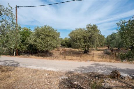 Land plot 776sqm for sale-Thasos » Skala Kallirachis
