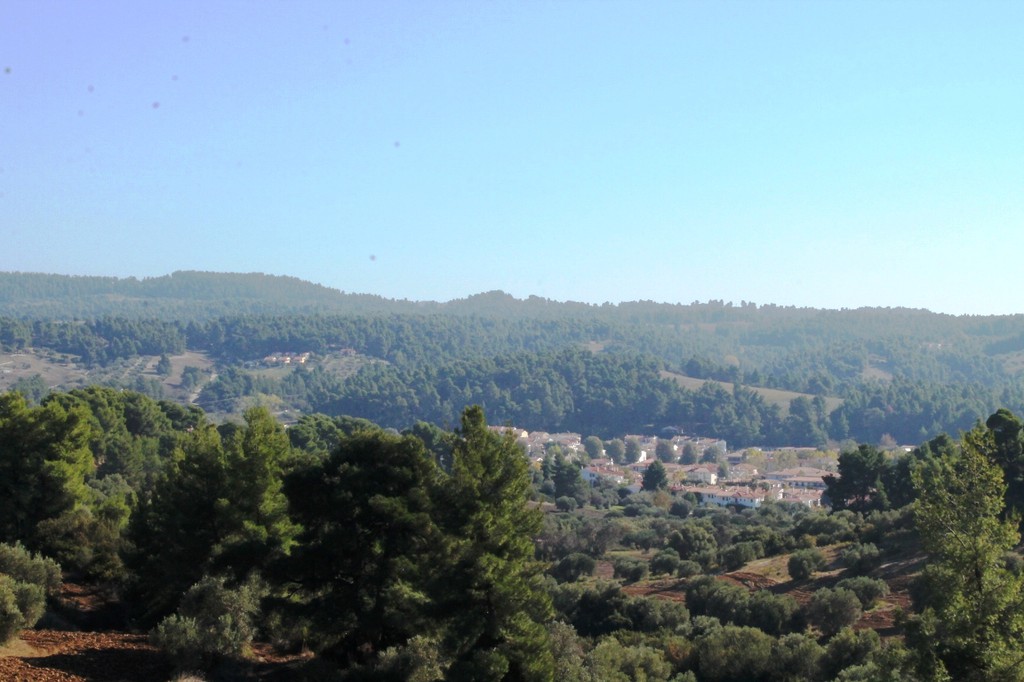 Οικόπεδο 9.500 τ.μ. προς πώληση, Ελάνη