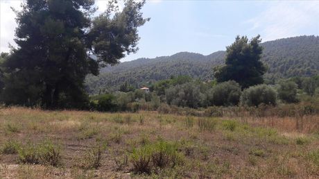 Land plot 6.013sqm for sale-Sithonia » Karidi