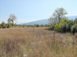 Επαγγελματικό 470 τ.μ. προς πώληση, Λεπτοκαρυά Βεργίνας-thumb-3