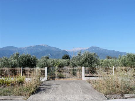 Land plot 3.000sqm for sale-Litochoro » Plaka